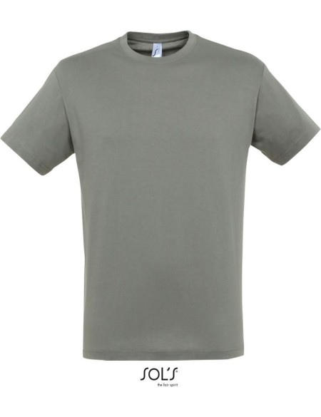 Herren T-Shirt - Regent - Zinc L